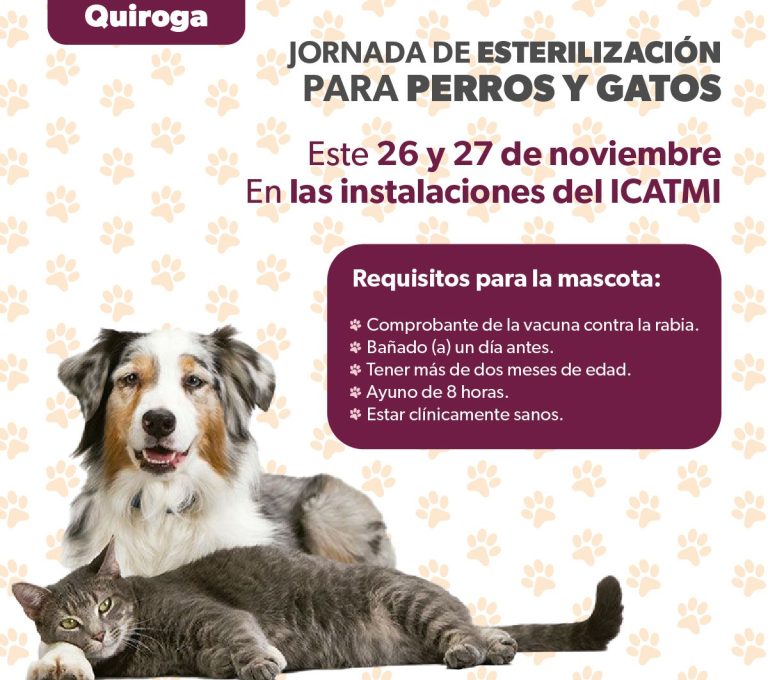 Anuncian jornada de esterilización para perros y gatos en Quiroga