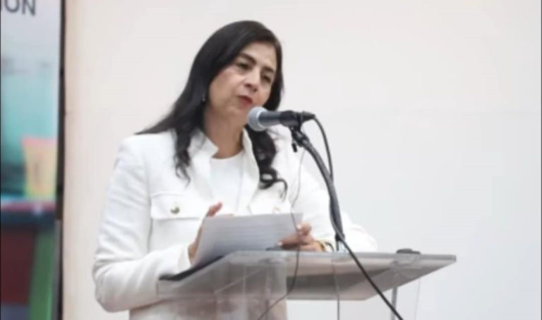 Prevé SEE le asignen 29 mil mdp para el ejercicio anual 2025