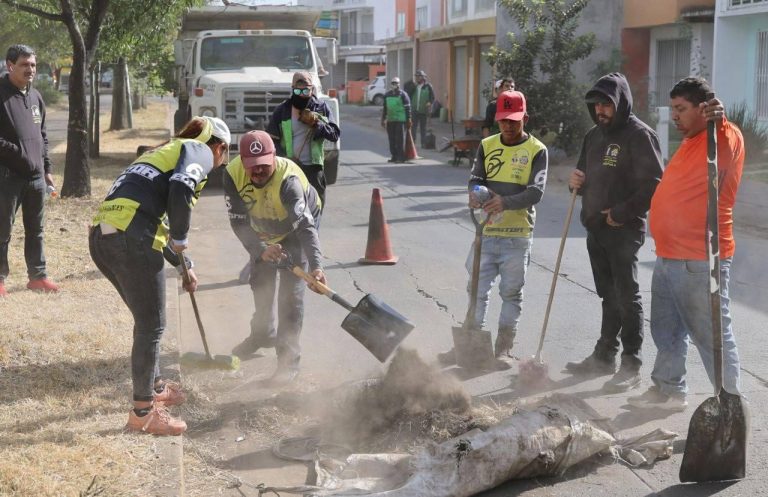 Encabeza Alfonso Martínez jornada integral en Villas del Pedregal