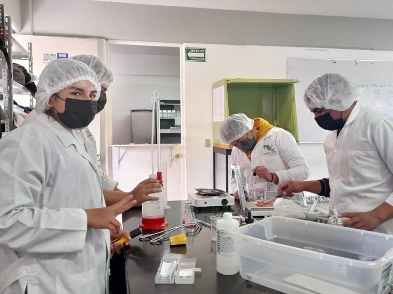 Logra Cecytem incorporar 16 carreras al modelo dual