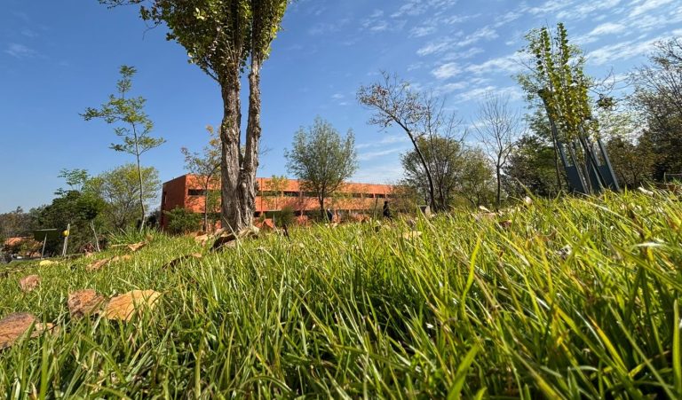Cambio de uso y cambio climático, principales enemigos de los suelos: Especialista de la UNAM Morelia
