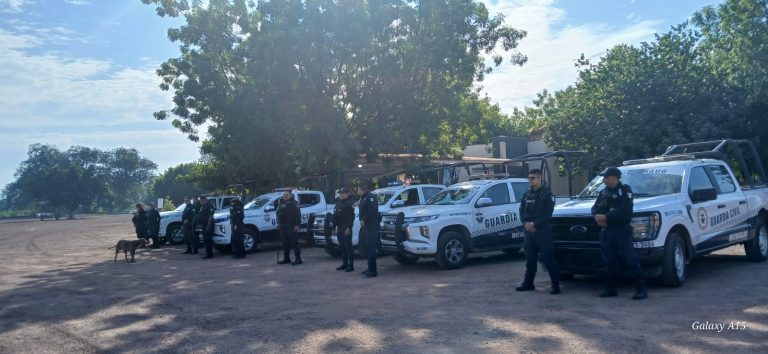 Se mantiene reforzada la seguridad en todas las regiones: SSP