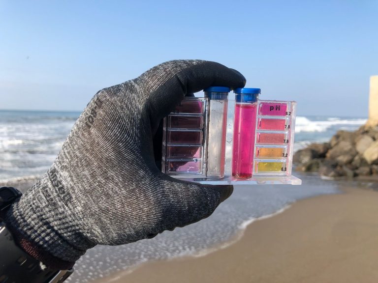 Playas michoacanas, aptas para vacacionar esta temporada, asegura SSM