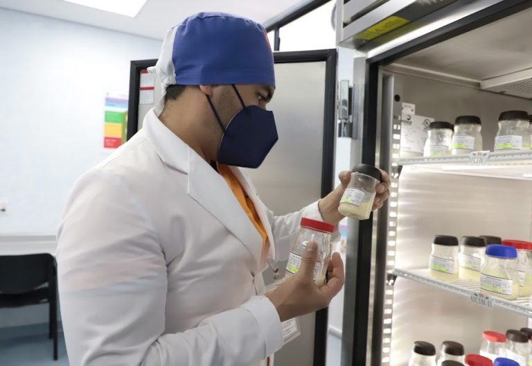 SSM te dice cómo donar leche materna