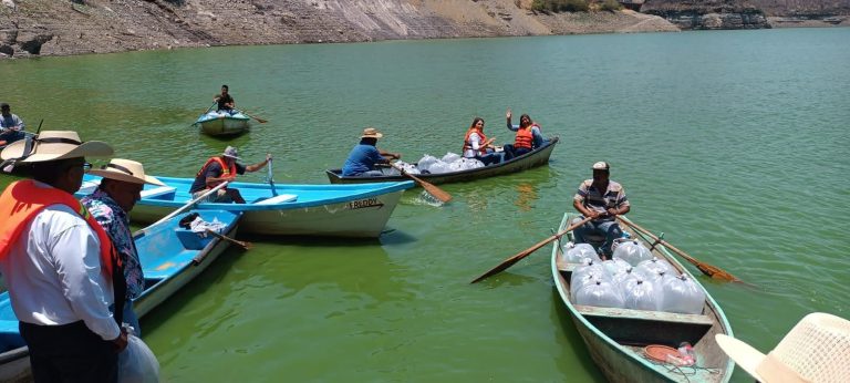 Michoacán fortaleció acuicultura con producción de 6 millones de crías de tilapia en 2024