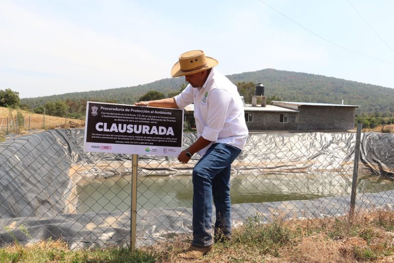 En 2024 Proam remitió más de 330 denuncias por daños ambientales
