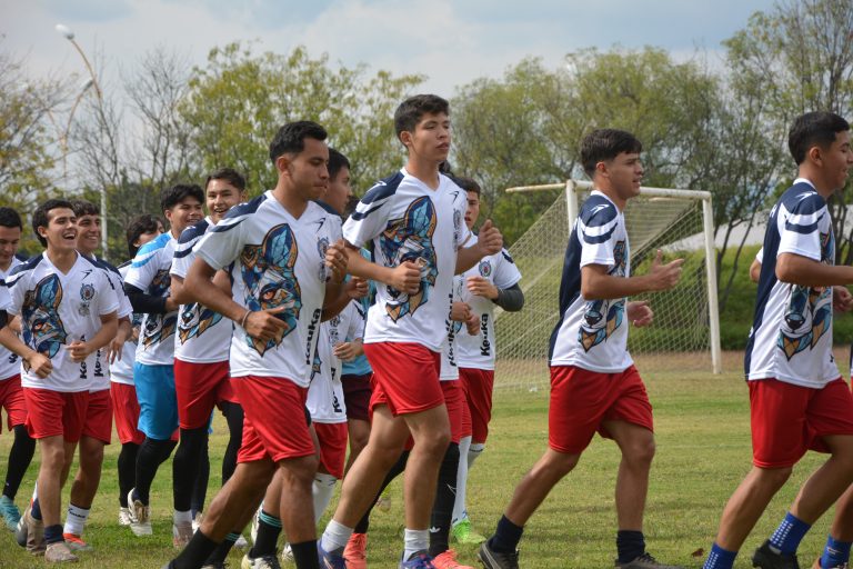 ¡Estamos de regreso!, Zorros reanuda actividades