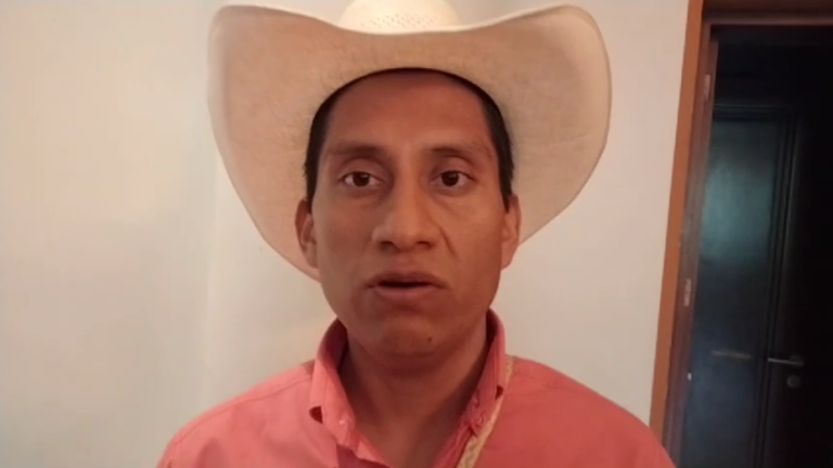 Comunidad indígena de Caltzontzin organiza festividades sin apoyo gubernamental