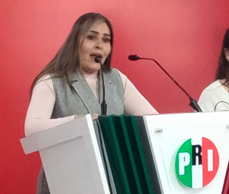Con Morena en el poder, canasta básica ha aumentado 48 % de precio: PRI