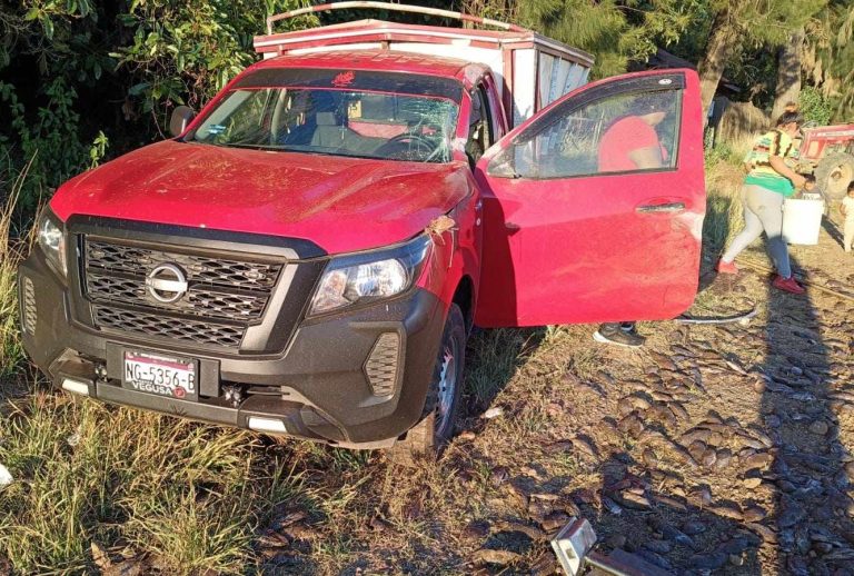 Camioneta cargada con pescados se accidenta en la autopista Siglo XXI