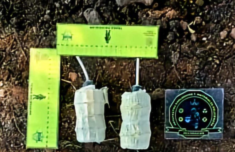 Casi 200 explosivos destruidos en tierra caliente en enero