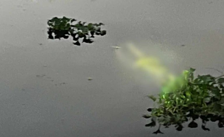 Hallan a adulto mayor ahogado en río de Lázaro Cárdenas
