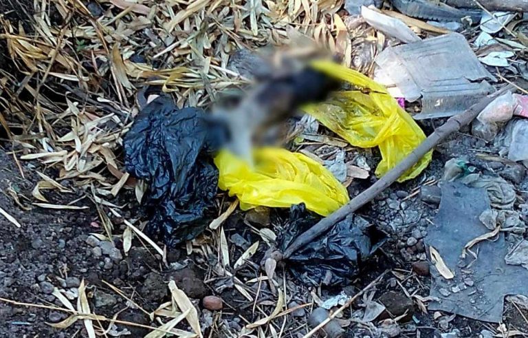 Hallan pierna cercenada debajo de puente en la colonia Morelos, en Apatzingán