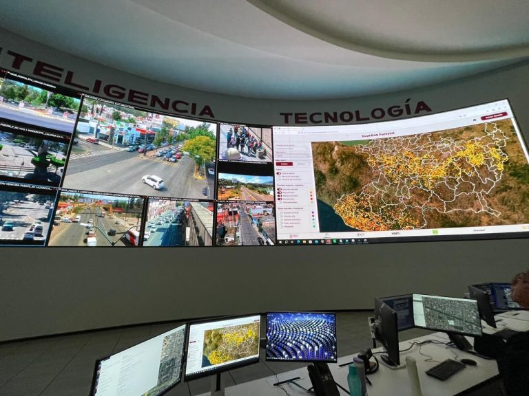 Con Guardián Forestal, más de 300 denuncias por cambio de uso de suelo en 2024