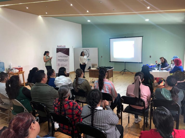Empodera Seimujer a michoacanas para su autonomía económica