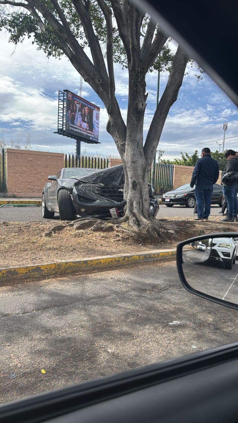 Auto choca contra árbol en la avenida Francisco J. Múgica de Morelia