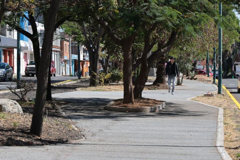 Parque Lineal de avenida Quinceo será equiparable al del Boulevard García de León