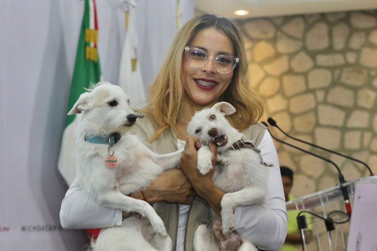 Veterinarios que realicen esterilizaciones gratuitas recibirán boletos para Chayanne