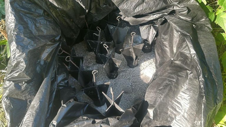 Localizan y destruyen en Tierra Caliente 60 explosivos para dron y campamentos ilícitos