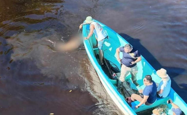 Localizan cadáver baleado en estero de Barra de Santa Ana, en LC