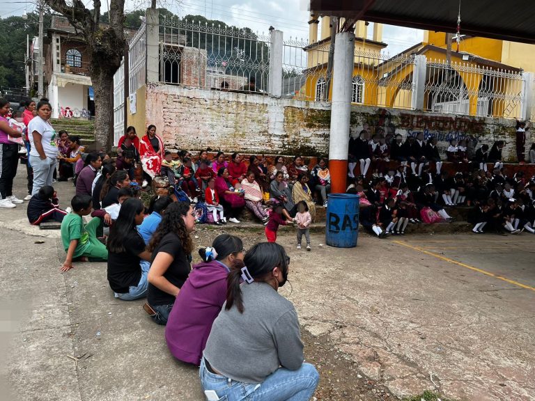 Mujeres indígenas, prioritarias en atención: Seimujer