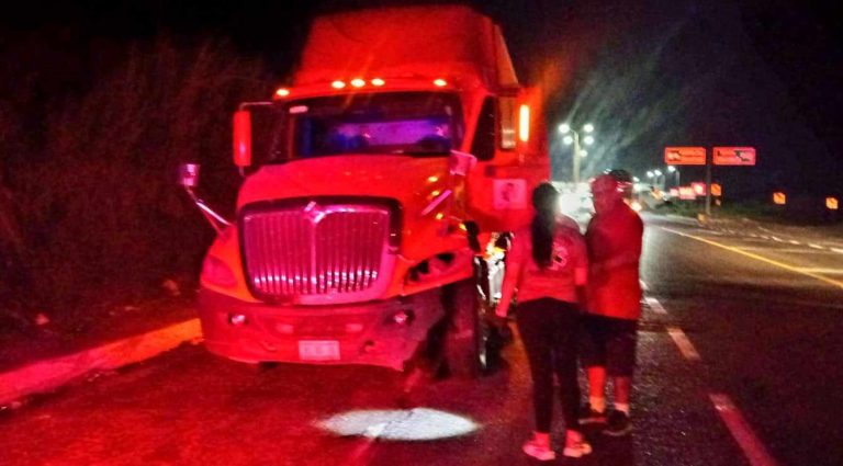 Tráiler impacta contra semoviente en la autopista Siglo XXI