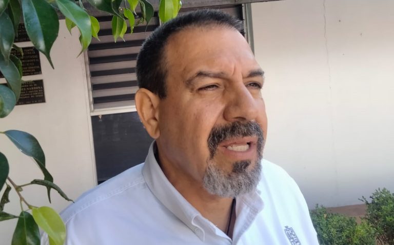 La deforestación en Michoacán se agrava por el auge del aguacate: Alejandro Méndez