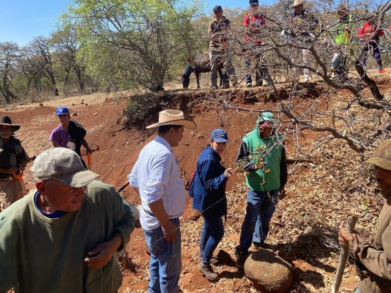 Unen esfuerzos para restaurar 50 hectáreas del área protegida cerro del Águila