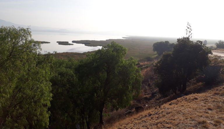 Humedales de Michoacán, reservas de vida y agua, en peligro