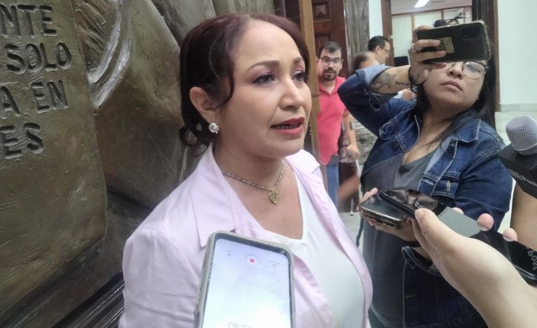 Defiende Itze Camacho su labor legislativa, acusa fuego amigo