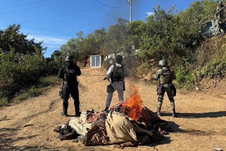 Localizan y desmantelan campamento clandestino, en Chinicuila