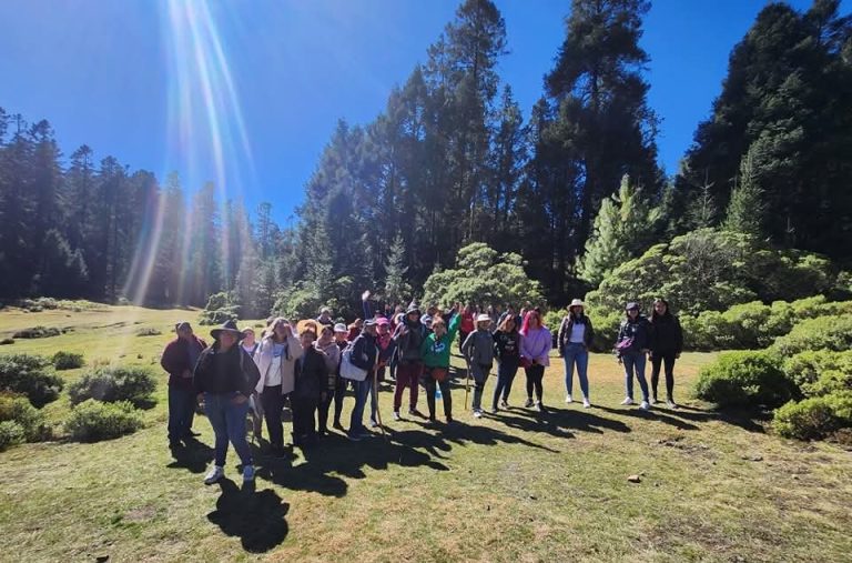 Continúan llegando turistas a santuarios de la Mariposa Monarca