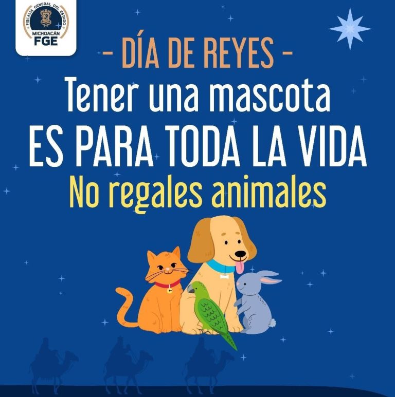 Refuerzan acciones para erradicar la venta de animales, en el operativo de Día de Reyes