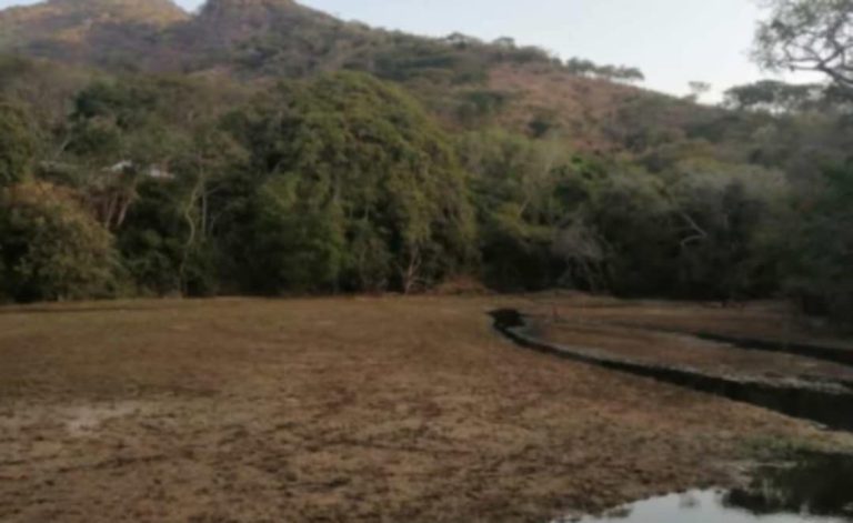 Campo michoacano enfrentará severo periodo de estiaje: SADER