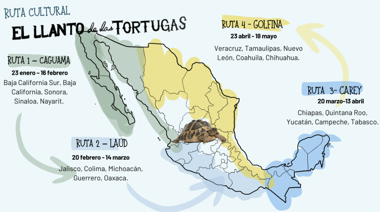 «El llanto de las tortuga» iniciará con su gira de exhibición cultural por costas mexicanas