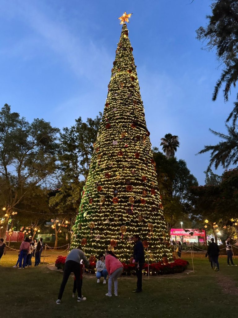 Más de 197 mil personas vivieron la Villa Navideña