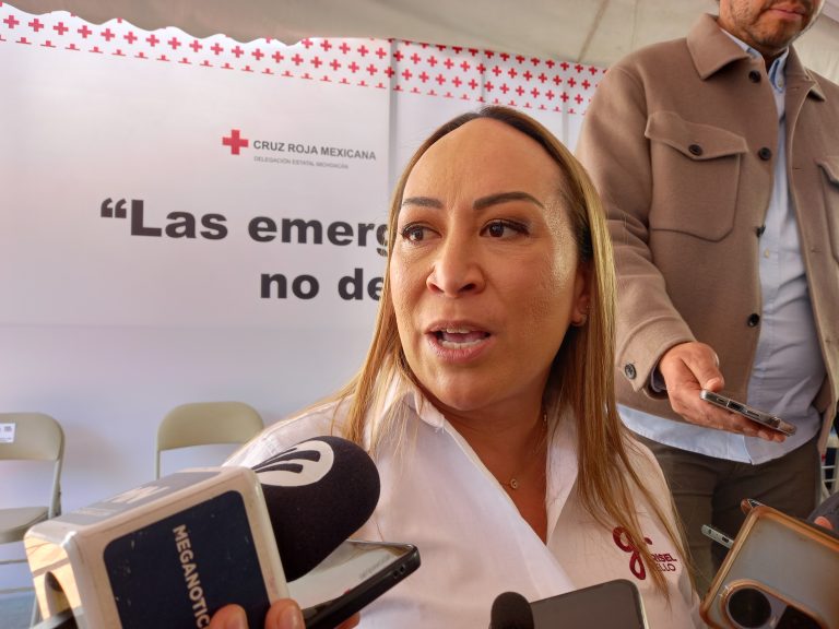 Se han logrado concretar 30 adopciones de menores que se encontraban bajo el resguardo del DIF