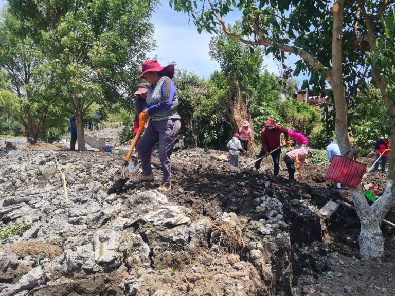 Se reactiva en marzo empleo temporal para preservación del lago de Pátzcuaro