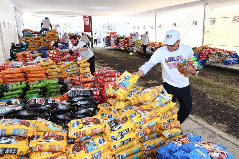 Entregan a refugios casi 60 toneladas de croquetas para michis y lomitos