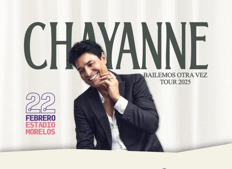 Seguridad garantizada en concierto de Chayanne