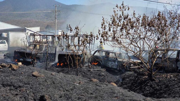 Incendio de pastizal alcanza una docena de vehículos en yonque de Zamora