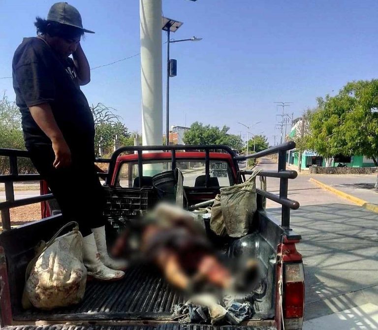 Suman dos jornaleros muertos tras estallido de un explosivo improvisado en Buenavista