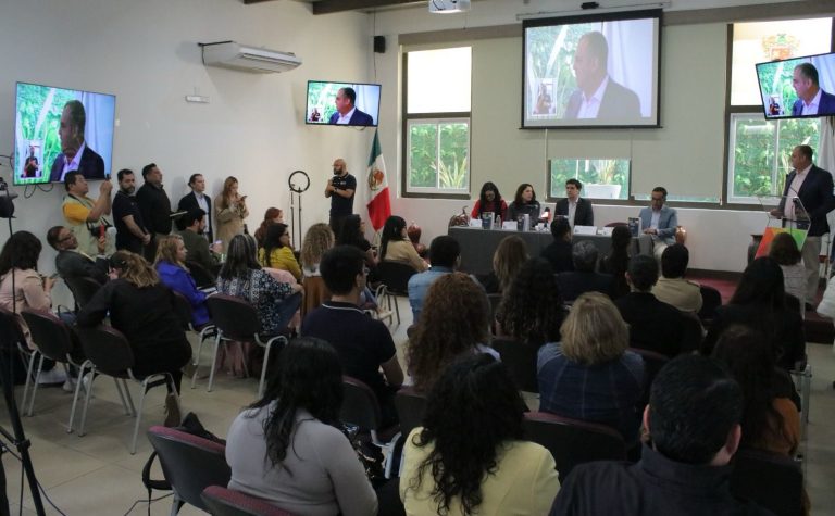Colección Diálogos en Derechos y Desarrollo Humano, guía para el buen actuar de las Defensorías del pueblo: CEDH Michoacán