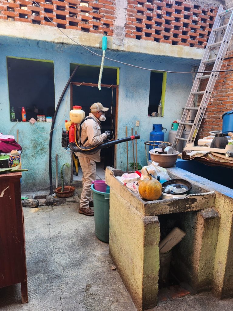 Michoacán se mantiene sin defunciones por dengue: SSM