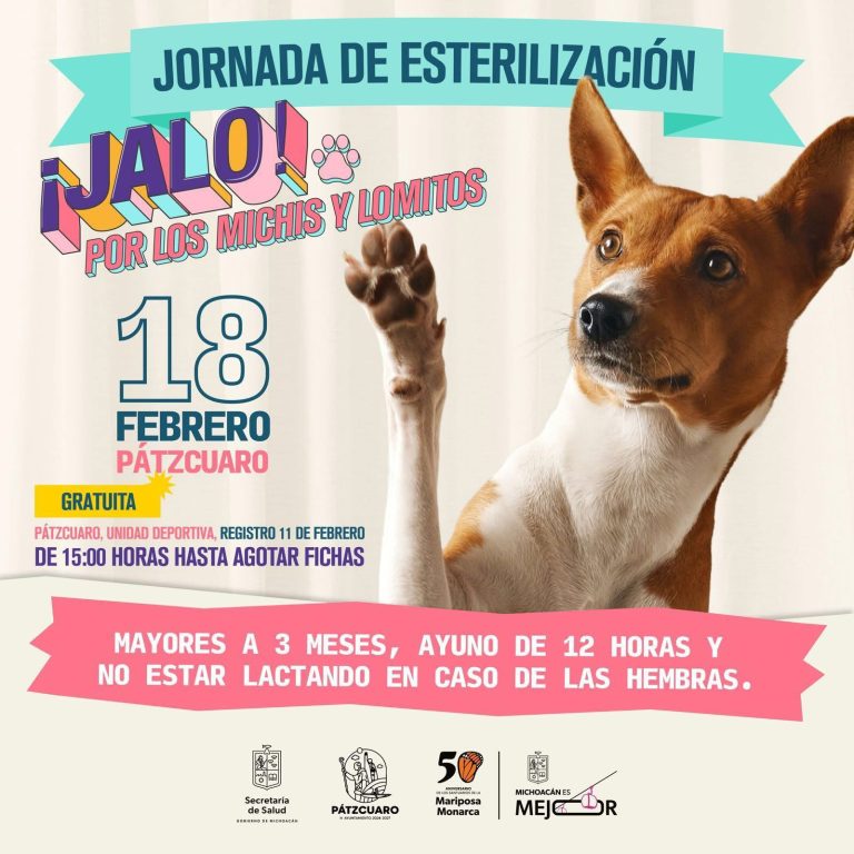 Martes arrancan esterilizaciones gratuitas en Pátzcuaro, Tarímbaro y Morelia