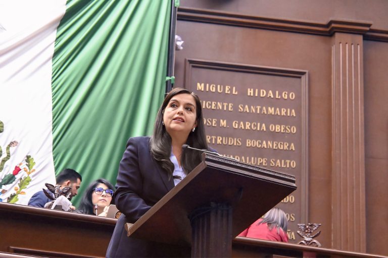Exhorta diputada Tere Herrera a gobernador a establecer plan emergente en Michoacán