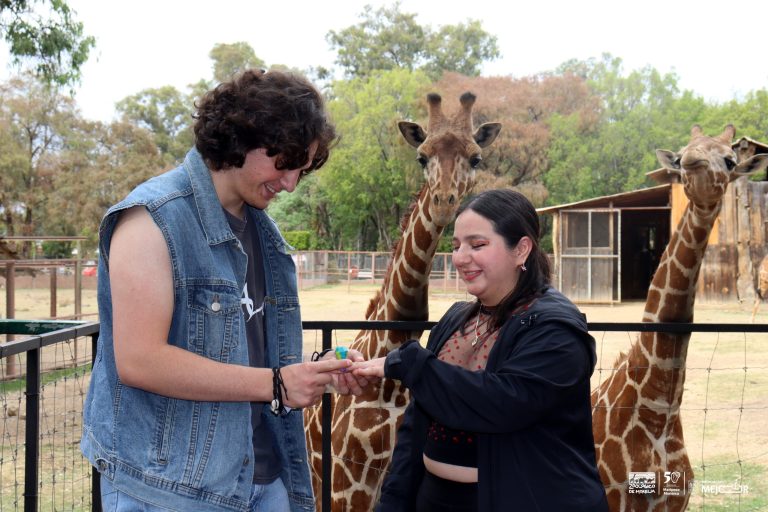 Románticas y divertidas actividades para San Valentín en el Zoológico de Morelia