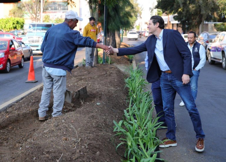 Supervisa alcalde trabajos de rehabilitación de camellón en Artilleros del 47