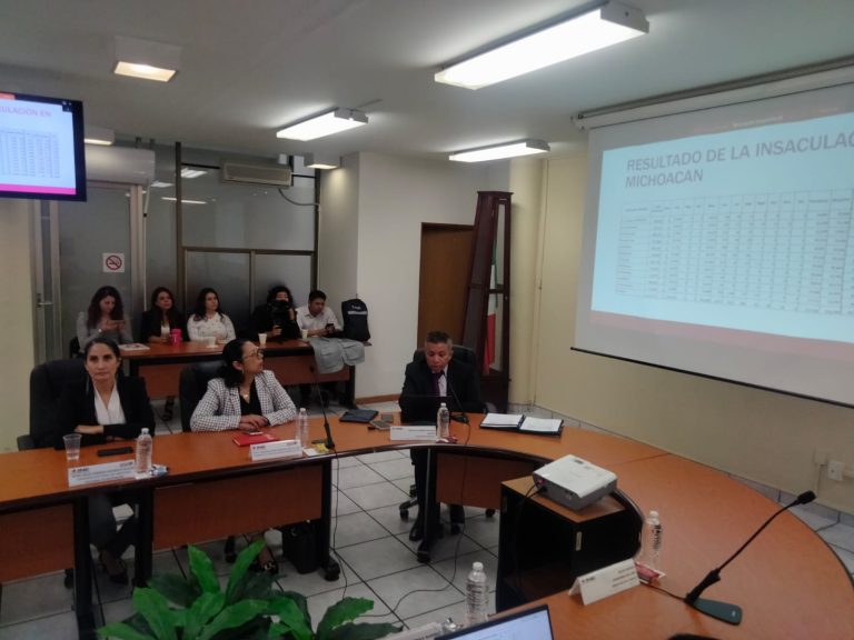 Elecciones judiciales con procedimiento atípico: ciudadanos deberán elegir con números y abreviaturas