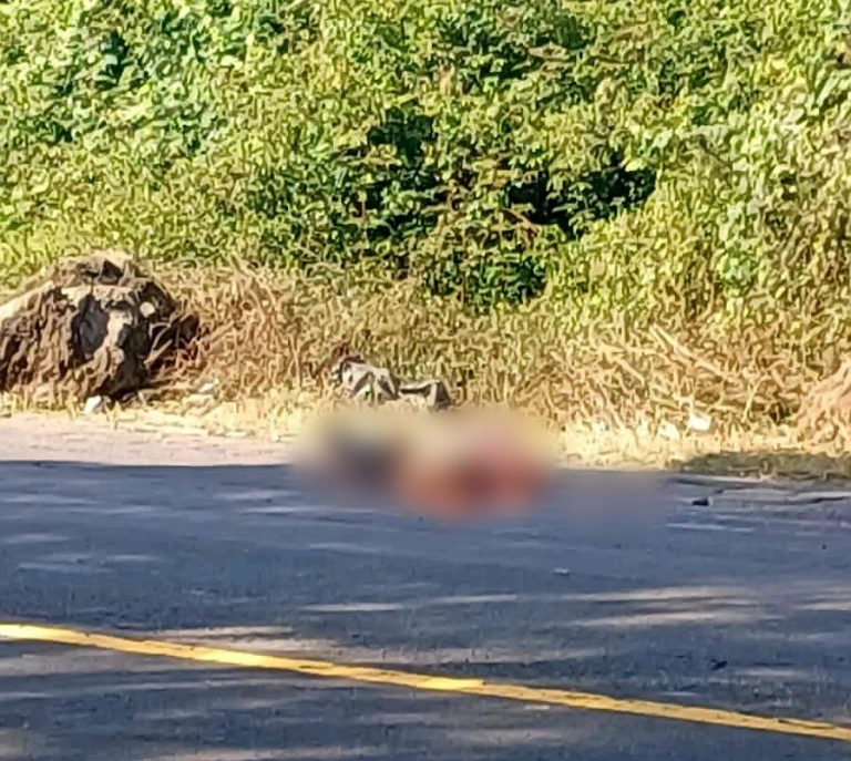 Un muerto y un herido al ser arrollados en la carretera Uruapan – Paracho